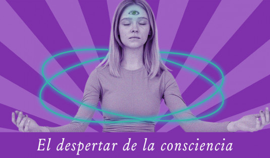 El despertar de la consciencia